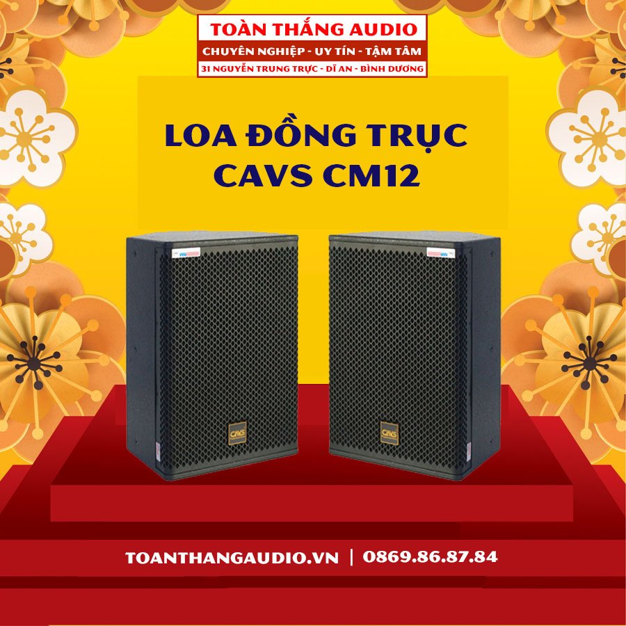 Loa Đồng Trục CAVS CM12