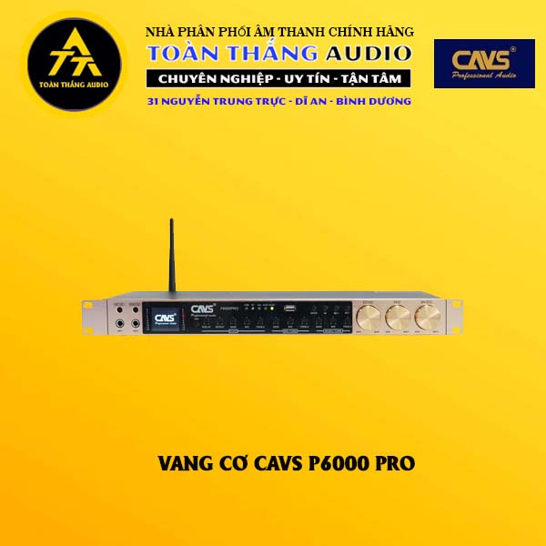 Vang Số CAVS P6000 Pro | Toàn Thắng Audio