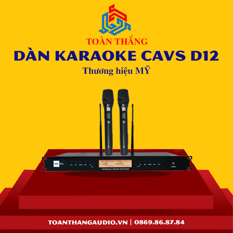 Dàn Karaoke CAVS D12