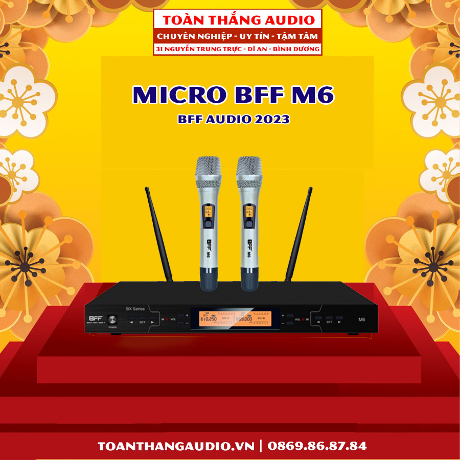 Micro Không Dây BFF M6